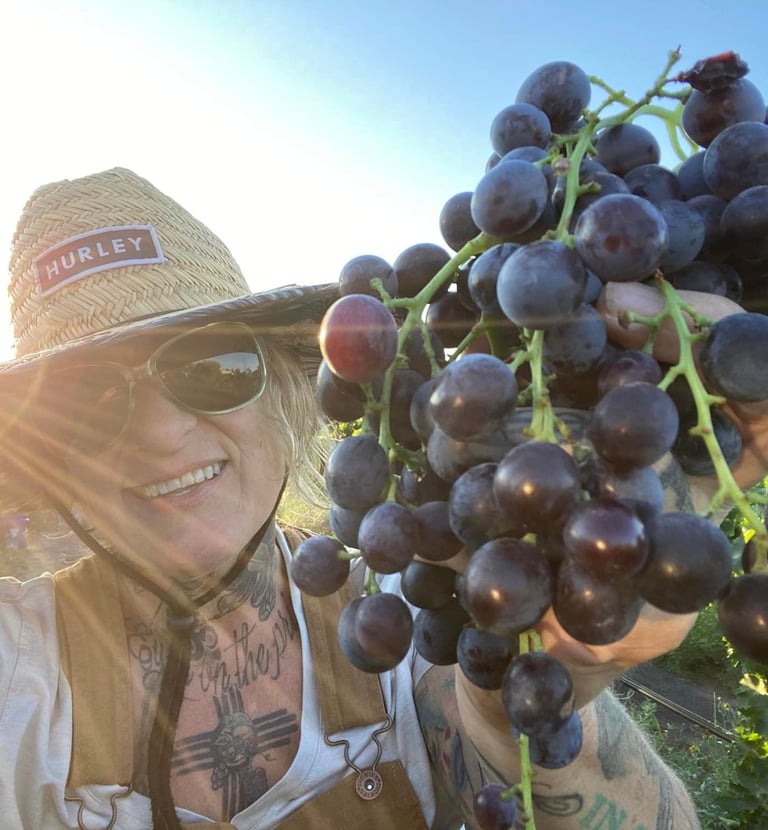 Tularosa Vineyards — harvest