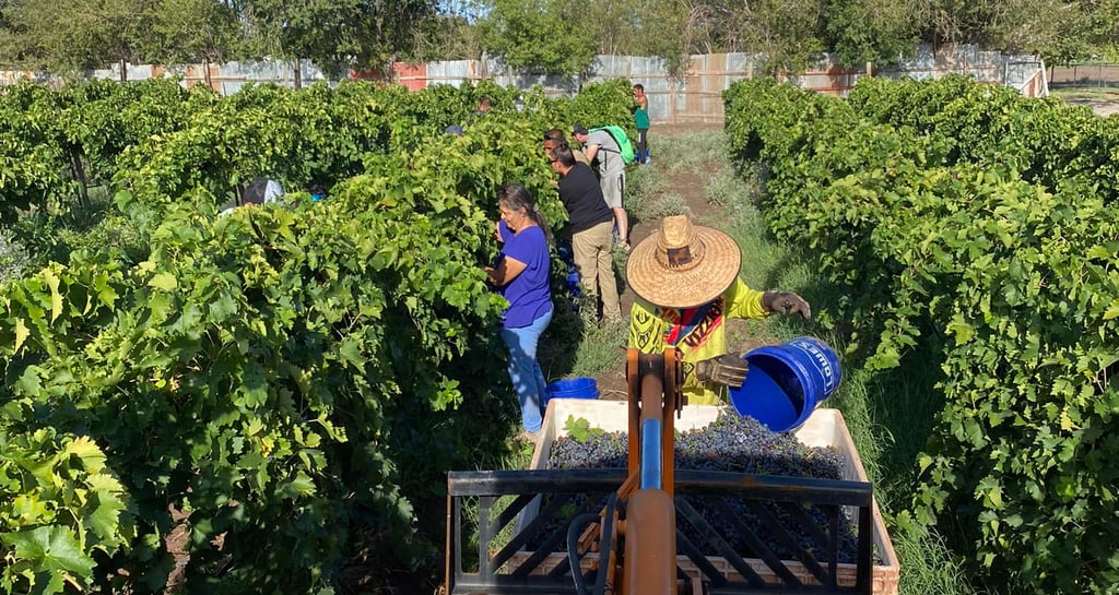 Tularosa Vineyards — tasting room