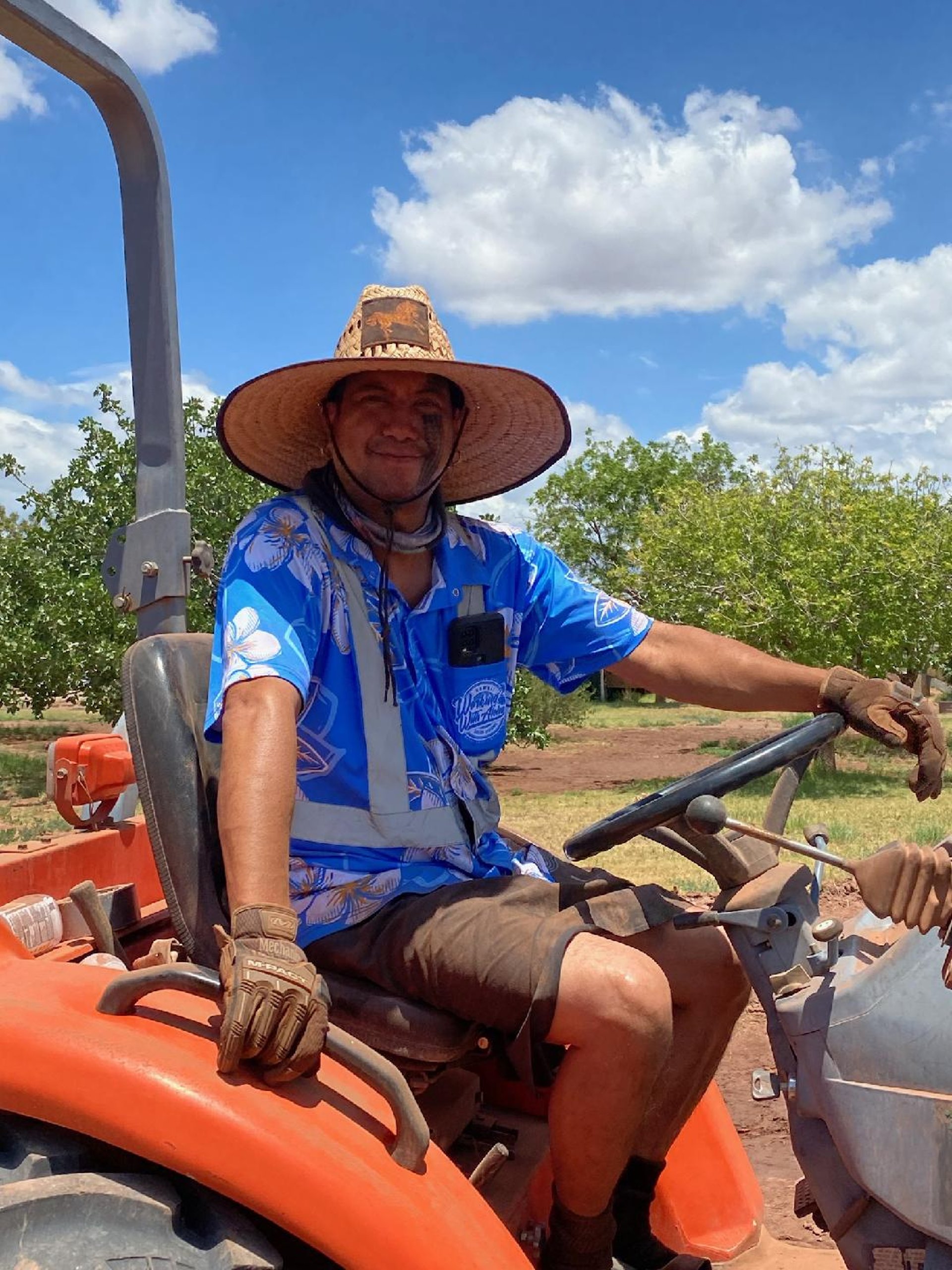 Tularosa Vineyards vines and rows