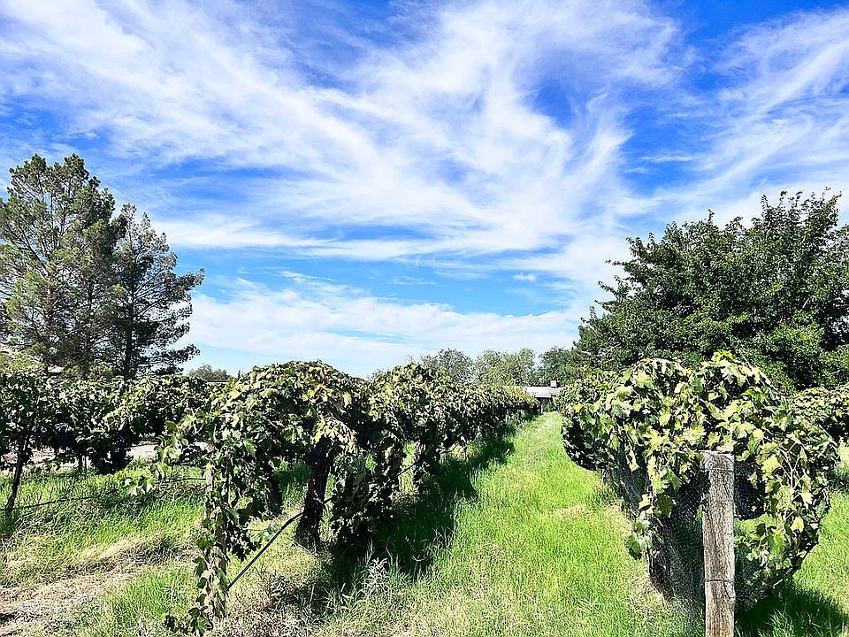 Tularosa Vineyards property